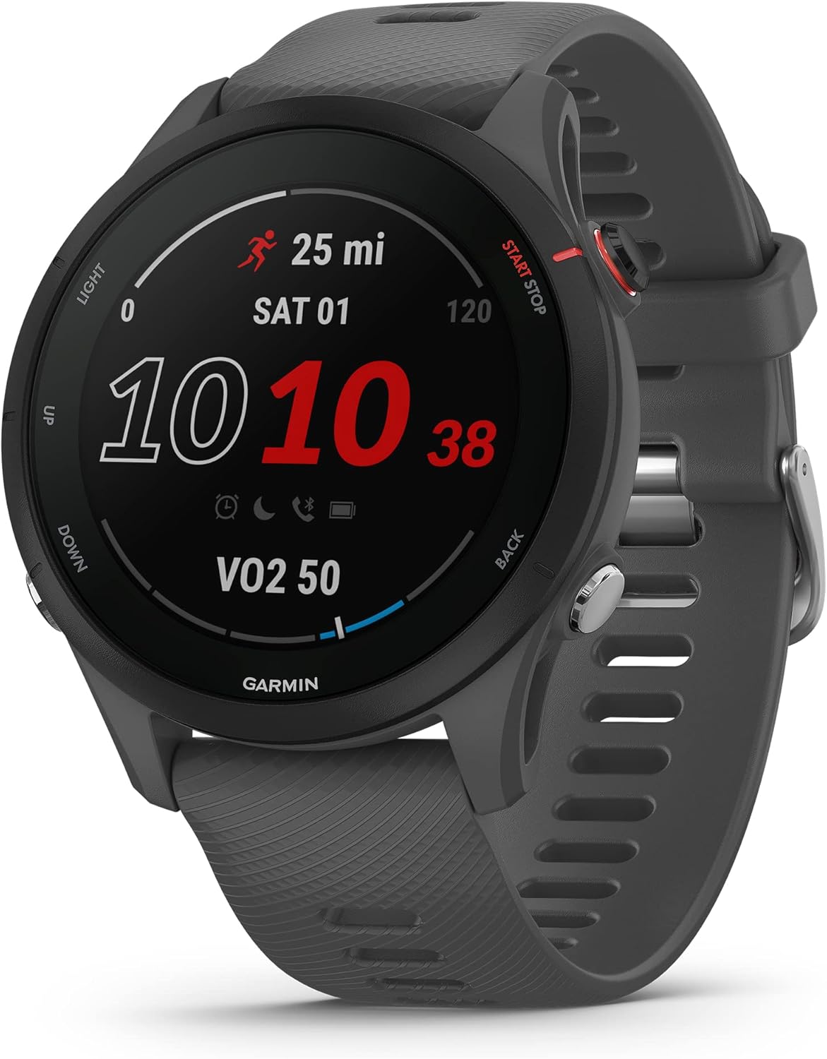 Smartwatch Garmin Forerunner 255