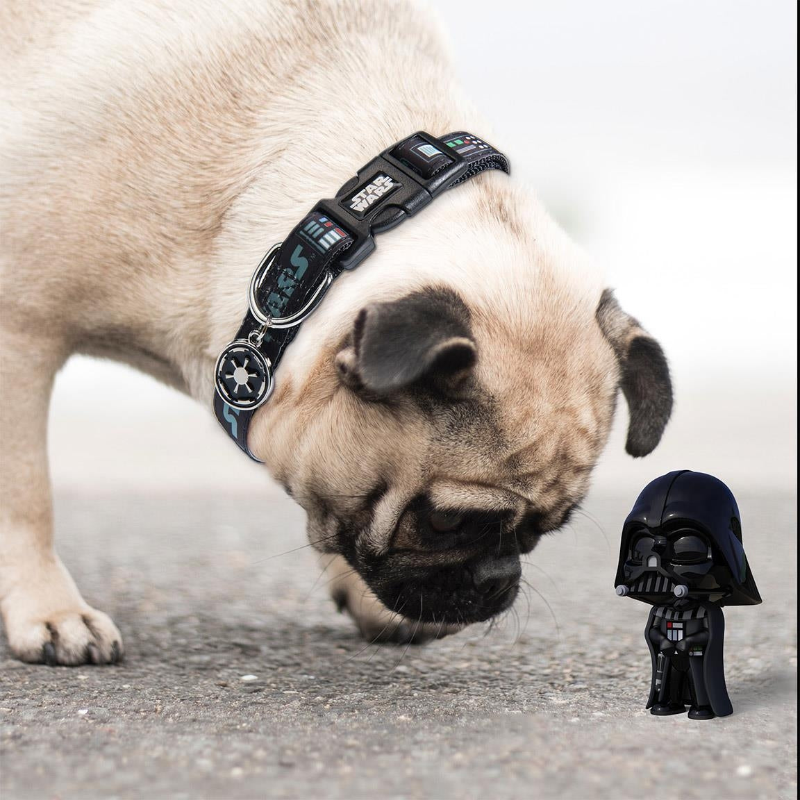 Collare per cani Star Wars Darth Vader taglia M-L